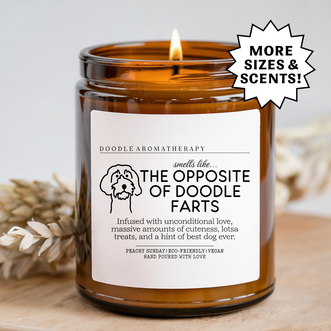 Smells Like The Opposite Of Doodle Farts Candle