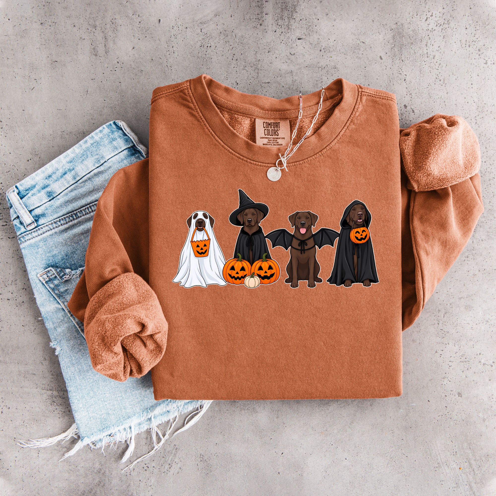 Halloween-Sweatshirt mit braunem Labrador